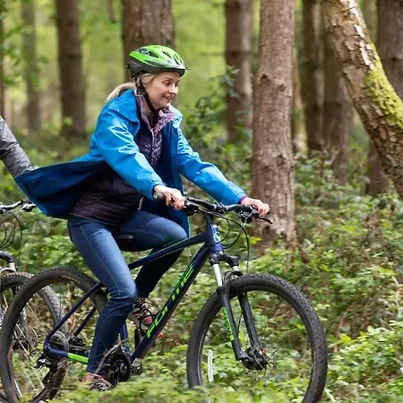 Deerpark Cabins, Cornwall - Forest Holidays